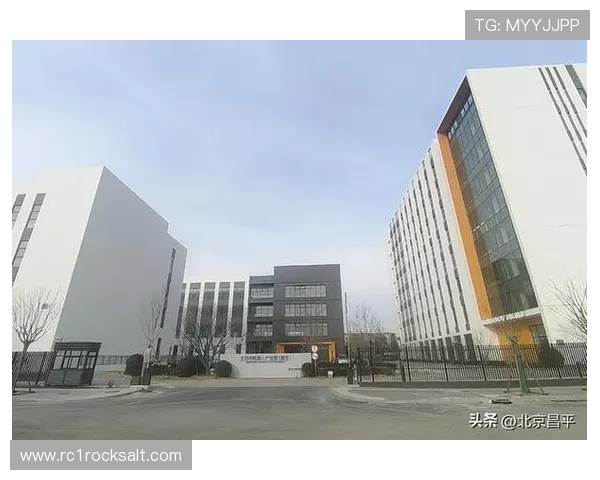 天生凯发官网：全面介绍平台的安全保障与优质服务